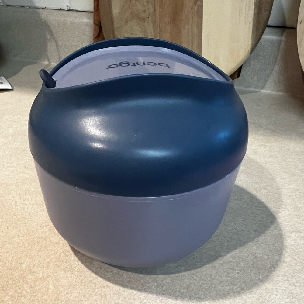 Bentgo Blue and Purple Lunch Container